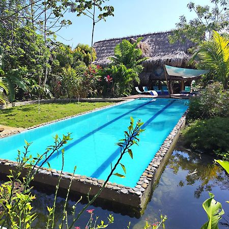 Villa Yira Eco-Hotel 埃尔扎伊诺 外观 照片