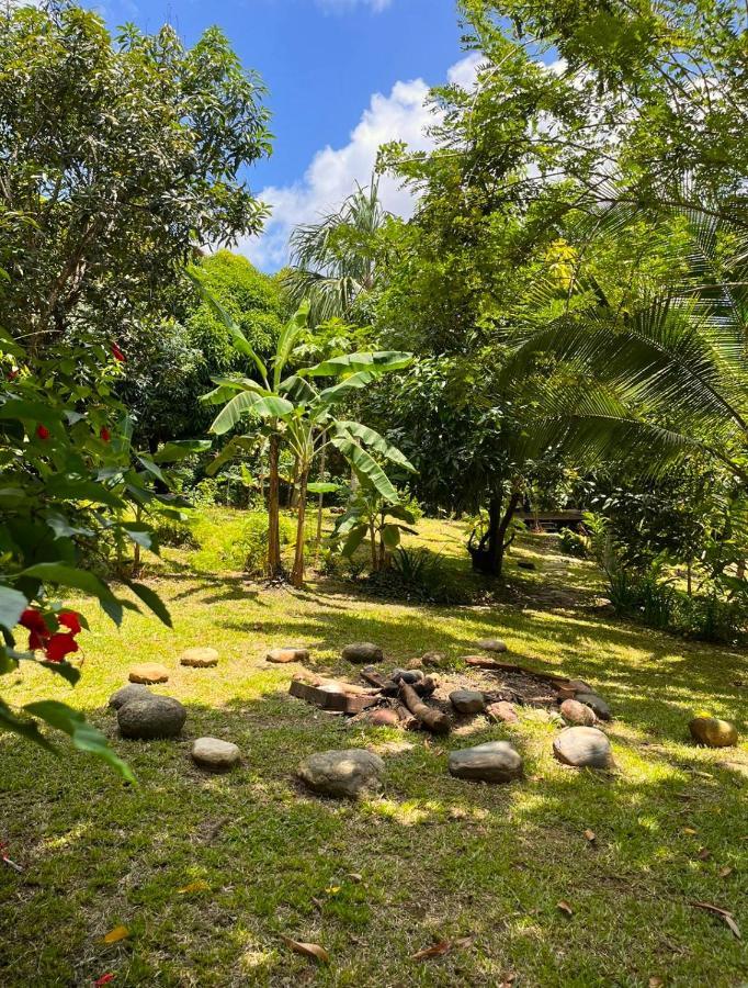 Villa Yira Eco-Hotel 埃尔扎伊诺 外观 照片