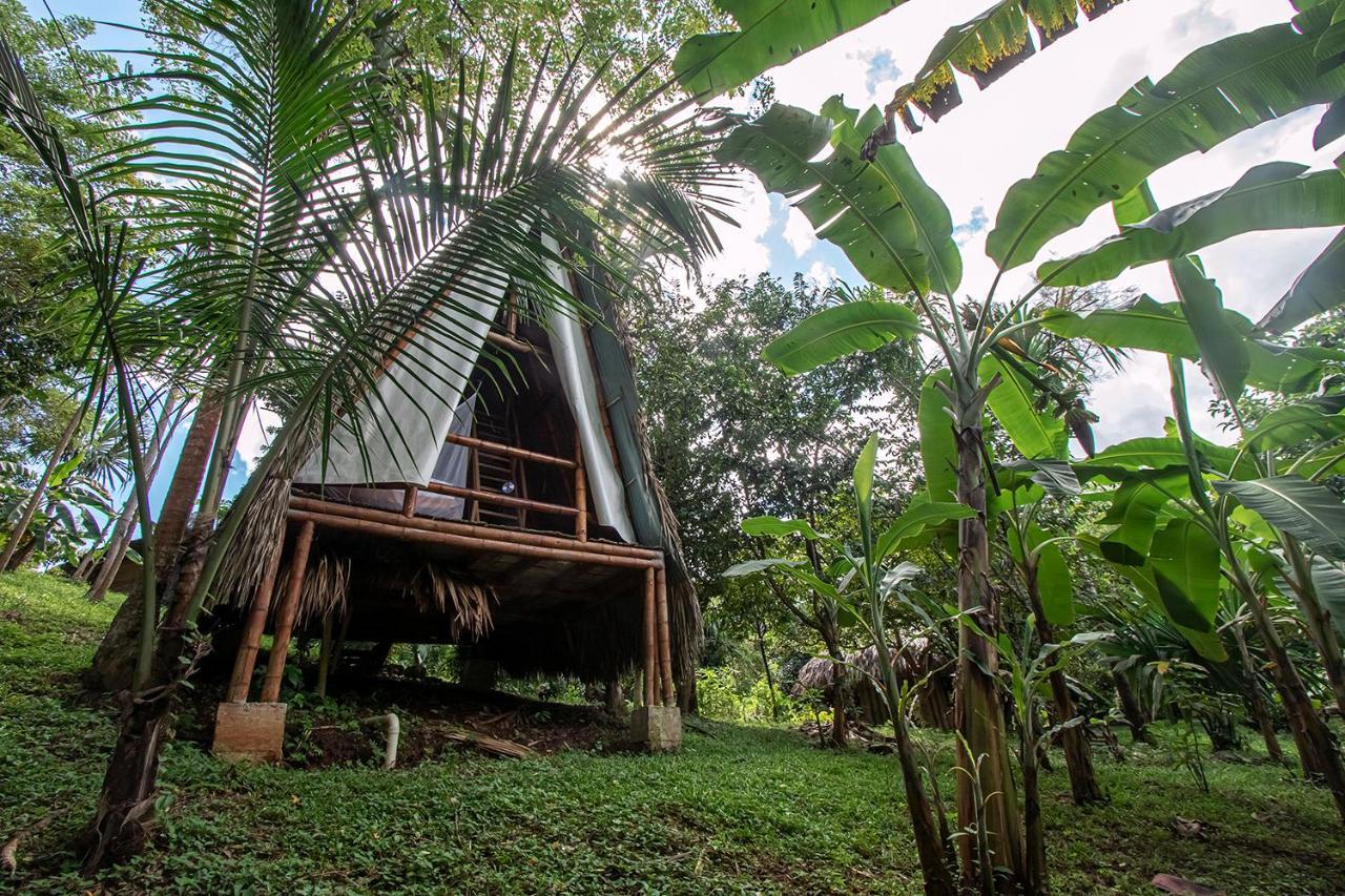 Villa Yira Eco-Hotel 埃尔扎伊诺 外观 照片