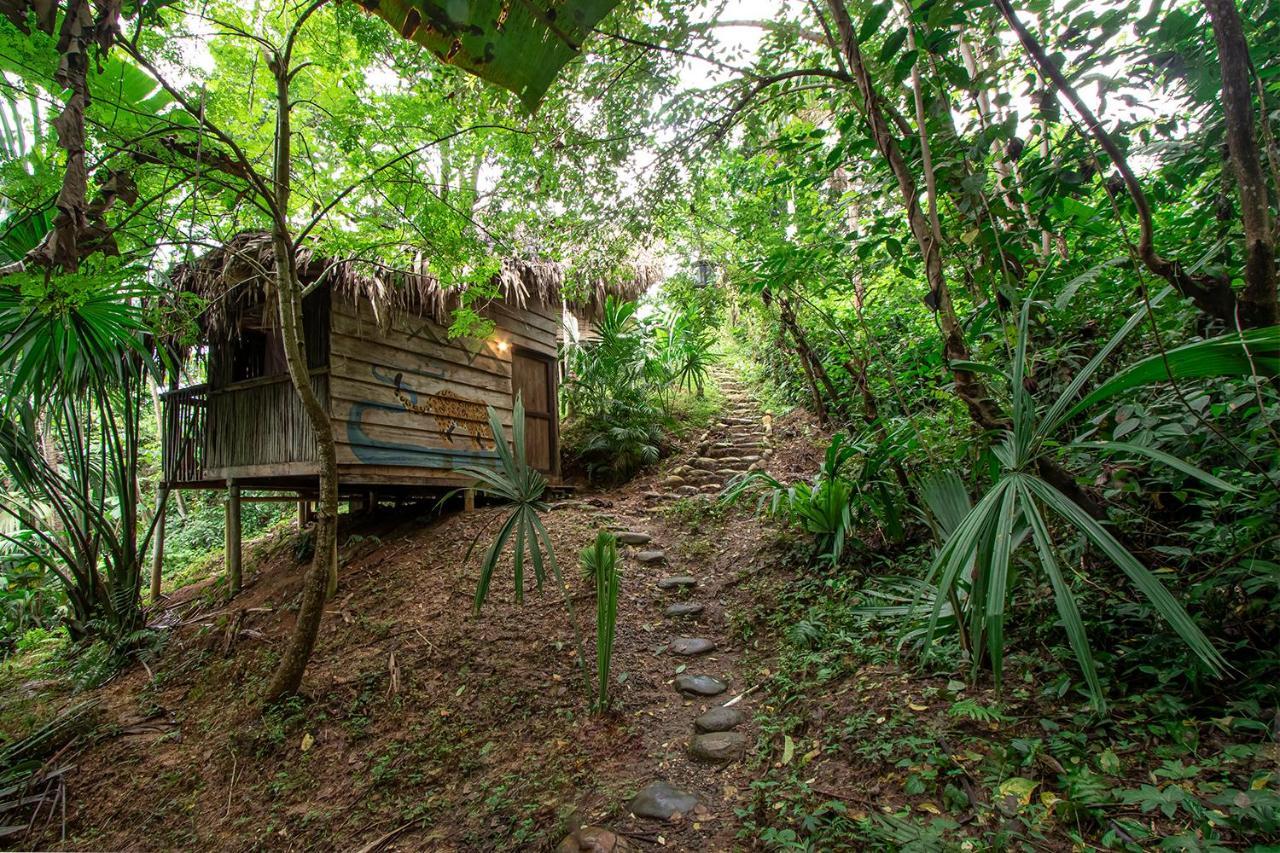 Villa Yira Eco-Hotel 埃尔扎伊诺 外观 照片