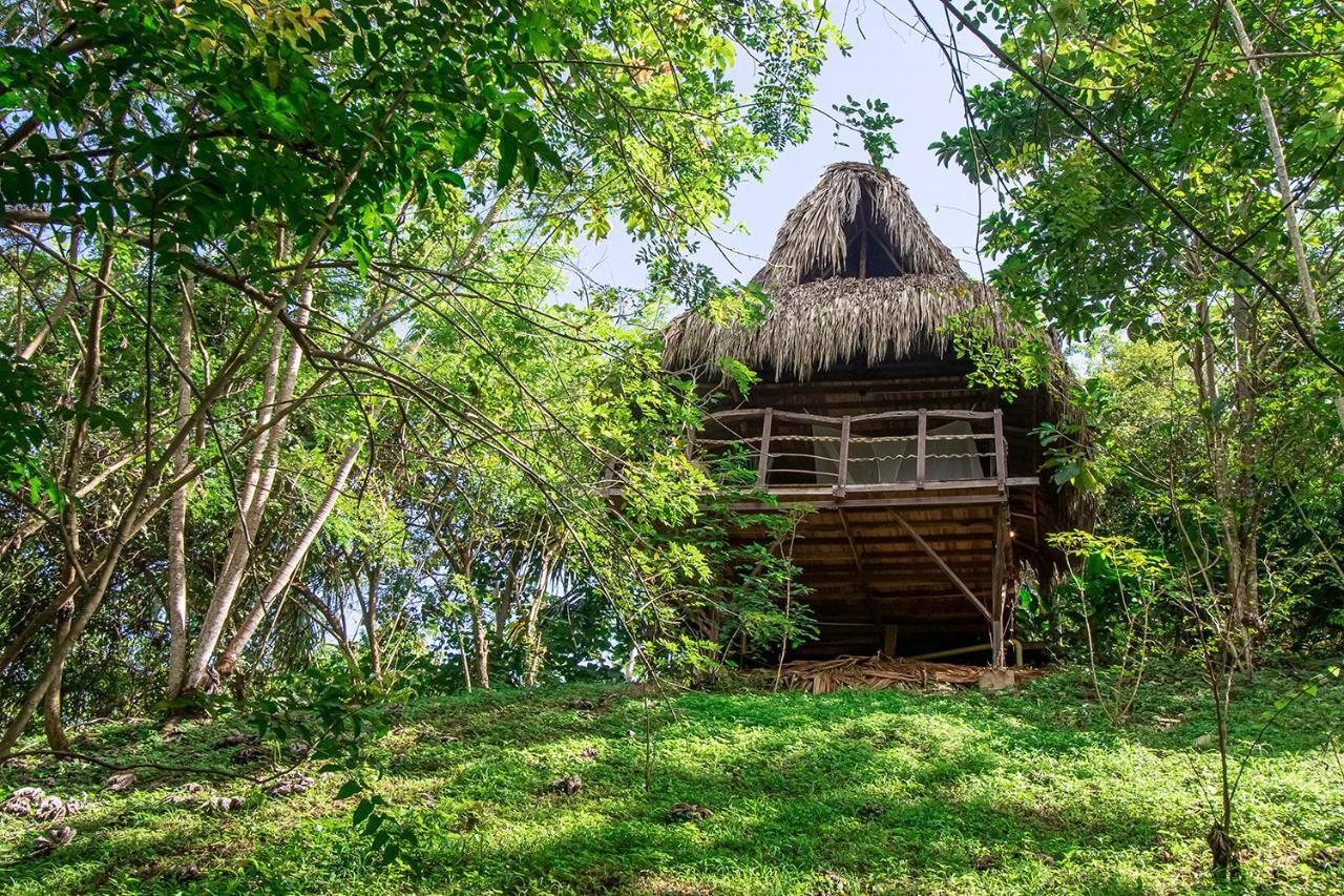 Villa Yira Eco-Hotel 埃尔扎伊诺 外观 照片