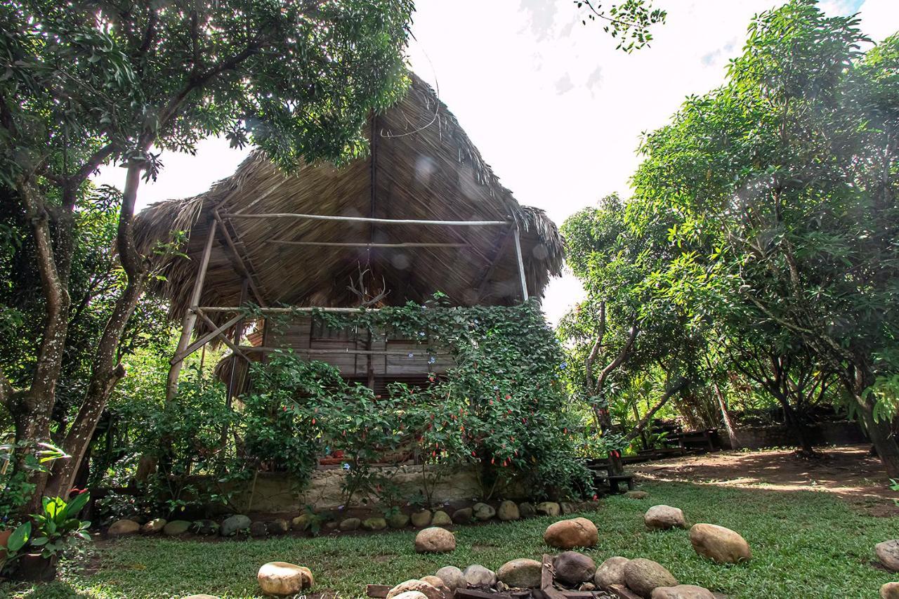 Villa Yira Eco-Hotel 埃尔扎伊诺 外观 照片
