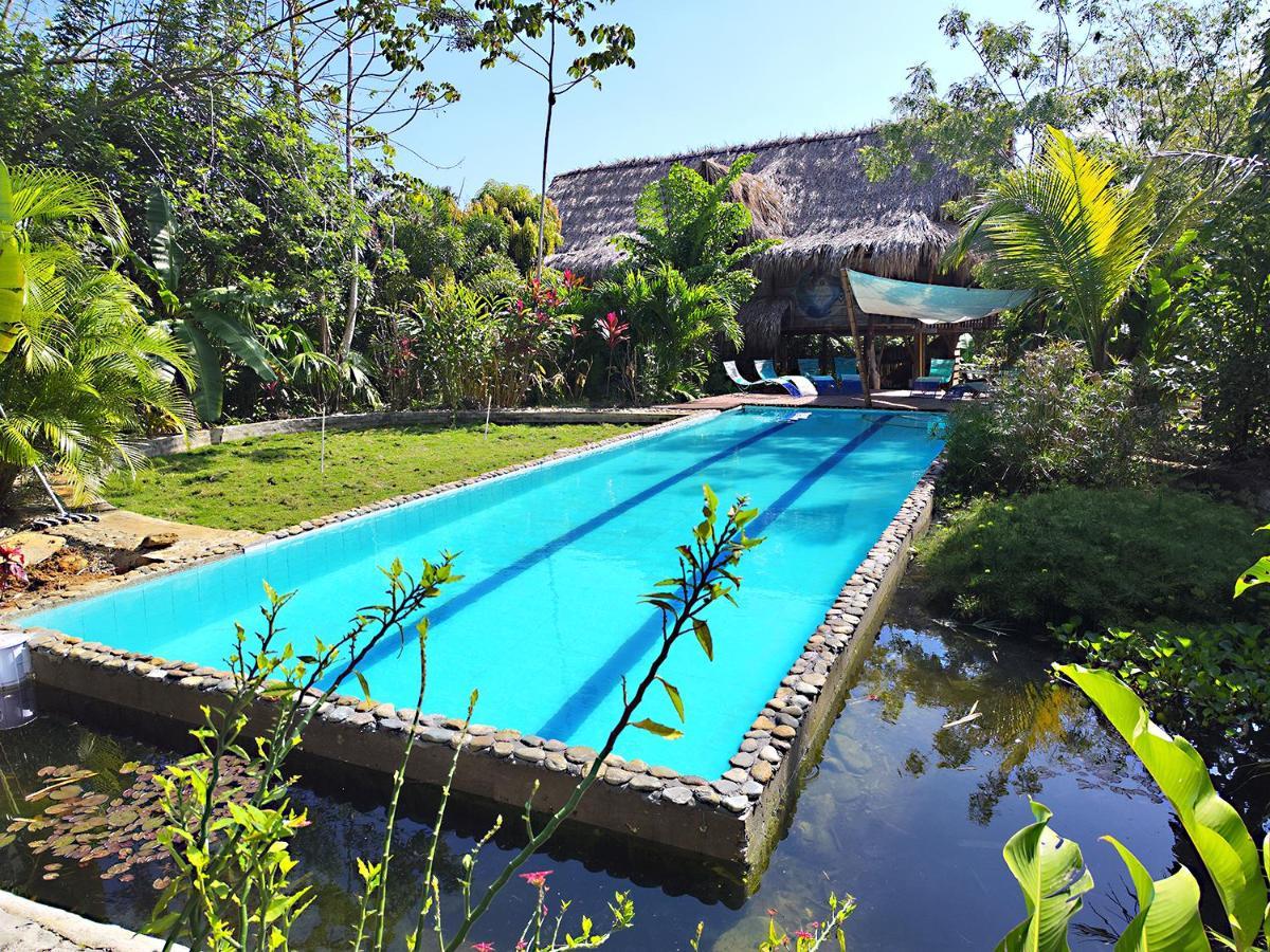 Villa Yira Eco-Hotel 埃尔扎伊诺 外观 照片