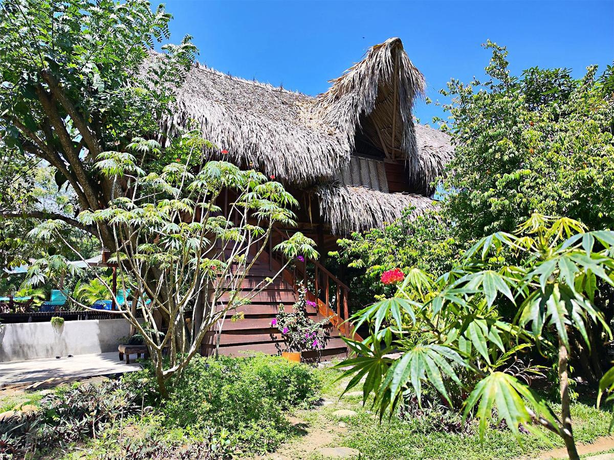 Villa Yira Eco-Hotel 埃尔扎伊诺 外观 照片